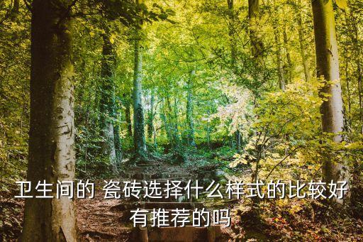 衛(wèi)生間的 瓷磚選擇什么樣式的比較好有推薦的嗎
