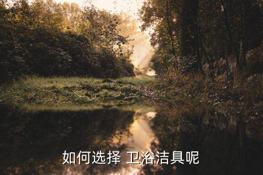 如何選擇 衛(wèi)浴潔具呢