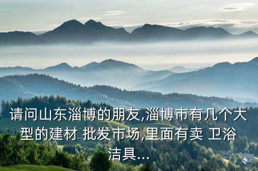 請問山東淄博的朋友,淄博市有幾個大型的建材 批發(fā)市場,里面有賣 衛(wèi)浴潔具...