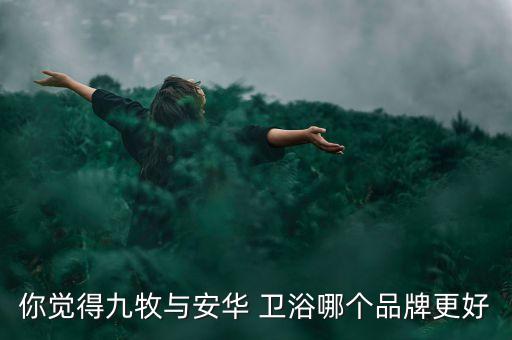 你覺得九牧與安華 衛(wèi)浴哪個(gè)品牌更好