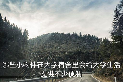 哪些小物件在大學(xué)宿舍里會(huì)給大學(xué)生活提供不少便利