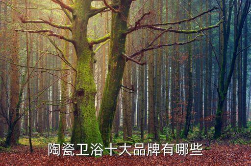 陶瓷衛(wèi)浴十大品牌有哪些