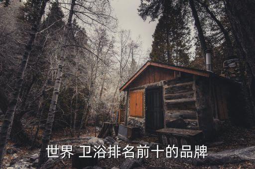 世界 衛(wèi)浴排名前十的品牌