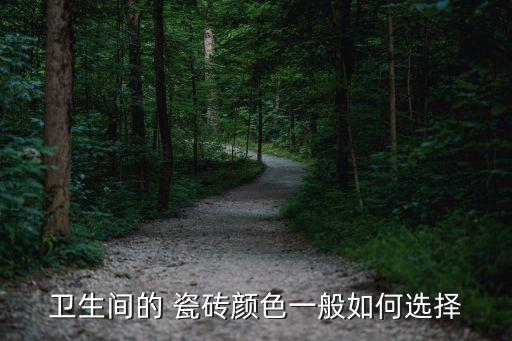 黑色衛(wèi)浴瓷磚好看嗎圖片,黑色瓷磚配什么美縫劑好看