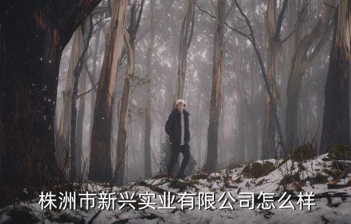  株洲市新興實業(yè)有限公司怎么樣
