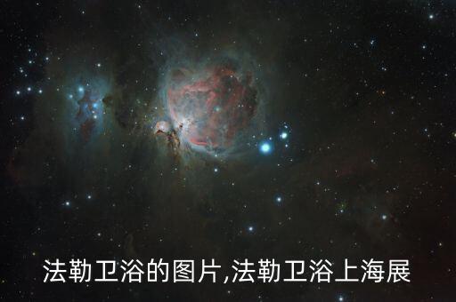 上海法勒衛(wèi)浴的圖片,法勒衛(wèi)浴上海展