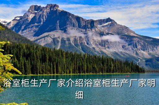 浴室柜生產(chǎn)廠家介紹浴室柜生產(chǎn)廠家明細(xì)