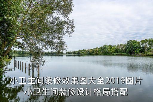 小衛(wèi)生間裝修效果圖大全2019圖片小衛(wèi)生間裝修設(shè)計(jì)格局搭配