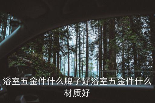 浴室五金件什么牌子好浴室五金件什么材質(zhì)好