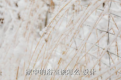 家中的浴室該怎么 設(shè)計(jì)