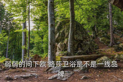 弱弱的問(wèn)下歐 路莎衛(wèi)浴是不是一線品牌