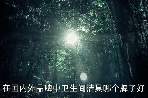 在國內(nèi)外品牌中衛(wèi)生間潔具哪個(gè)牌子好