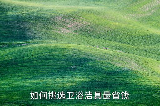 如何挑選衛(wèi)浴潔具最省錢