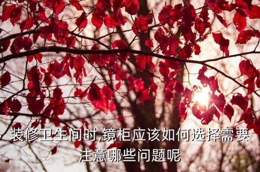 裝修衛(wèi)生間時(shí),鏡柜應(yīng)該如何選擇需要注意哪些問(wèn)題呢