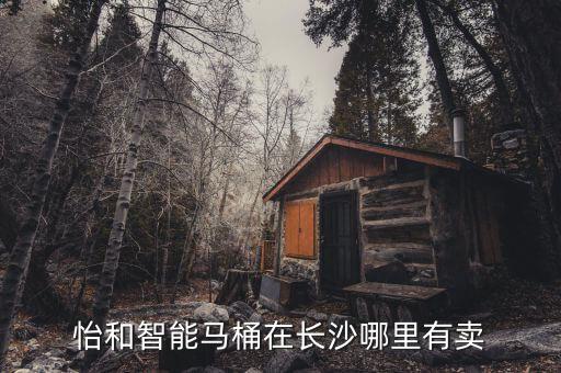 怡和智能馬桶在長沙哪里有賣