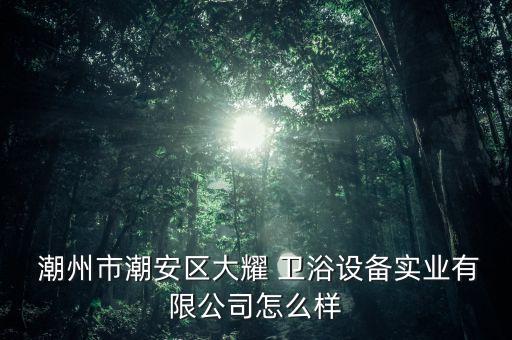  潮州市潮安區(qū)大耀 衛(wèi)浴設(shè)備實業(yè)有限公司怎么樣
