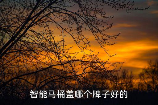 智能馬桶蓋哪個(gè)牌子好的