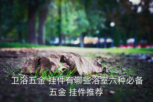  衛(wèi)浴五金 掛件有哪些浴室六種必備五金 掛件推薦