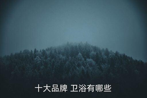 十大品牌 衛(wèi)浴有哪些