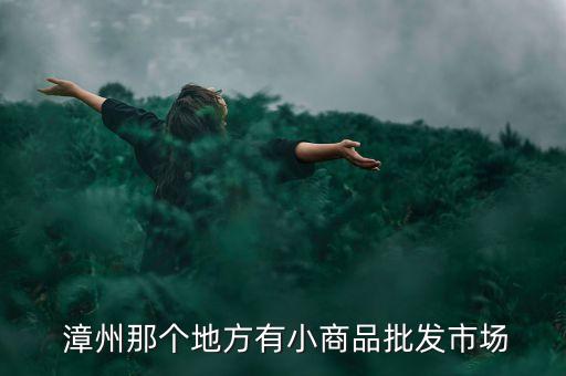  漳州那個地方有小商品批發(fā)市場
