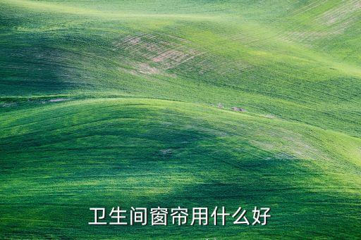 衛(wèi)生間窗簾用什么好