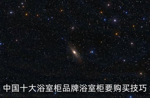 中國十大浴室柜品牌浴室柜要購買技巧