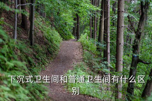  下沉式衛(wèi)生間和普通衛(wèi)生間有什么區(qū)別