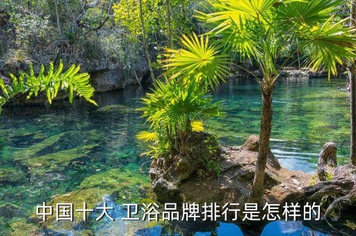 中國十大 衛(wèi)浴品牌排行是怎樣的