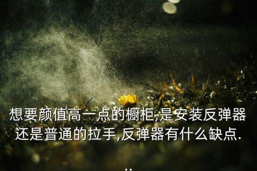 想要顏值高一點的櫥柜,是安裝反彈器還是普通的拉手,反彈器有什么缺點...