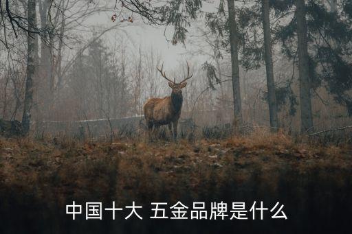 中國十大 五金品牌是什么