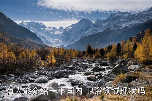 有人能介紹一下國內(nèi) 衛(wèi)浴領(lǐng)域現(xiàn)狀嗎