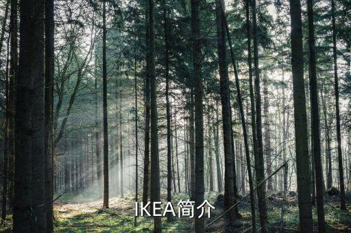 宜家衛(wèi)浴品牌介紹怎么寫