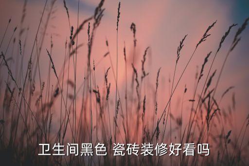 衛(wèi)生間黑色 瓷磚裝修好看嗎