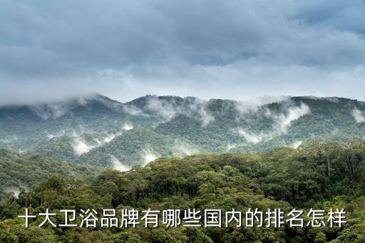 十大衛(wèi)浴品牌有哪些國(guó)內(nèi)的排名怎樣