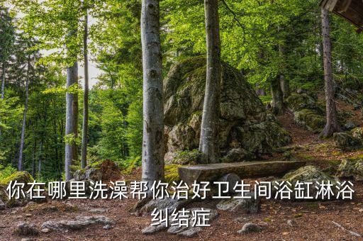 你在哪里洗澡幫你治好衛(wèi)生間浴缸淋浴糾結癥