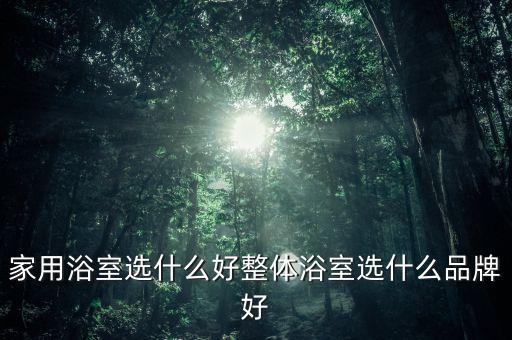 家用浴室選什么好整體浴室選什么品牌好