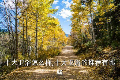 柜品牌榜首日豐衛(wèi)浴