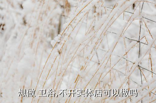 想做 衛(wèi)浴,不開實(shí)體店可以做嗎