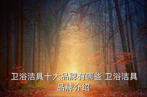  衛(wèi)浴潔具十大品牌有哪些 衛(wèi)浴潔具品牌介紹