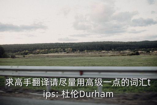 求高手翻譯請盡量用高級一點(diǎn)的詞匯tips: 杜倫Durham