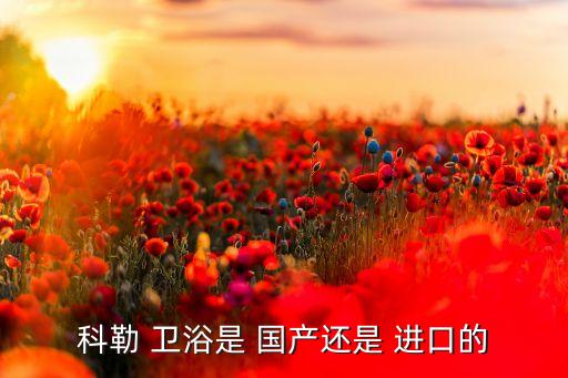 國產(chǎn)進(jìn)口衛(wèi)浴品牌,摩恩衛(wèi)浴是國產(chǎn)的還是進(jìn)口的