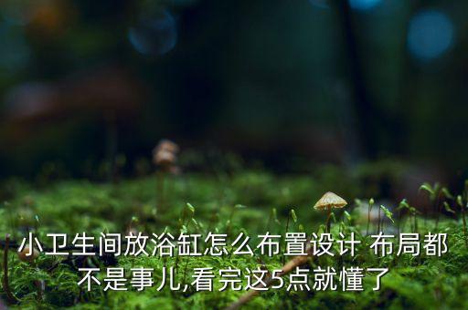 小衛(wèi)生間放浴缸怎么布置設(shè)計 布局都不是事兒,看完這5點就懂了