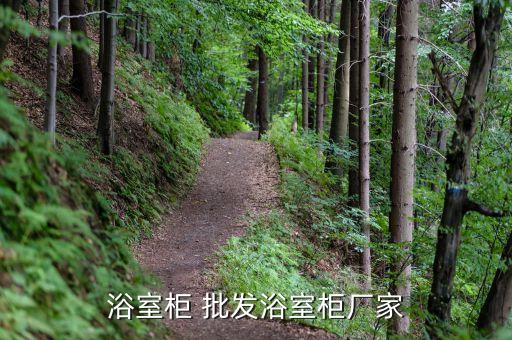 浴室柜 批發(fā)浴室柜廠家