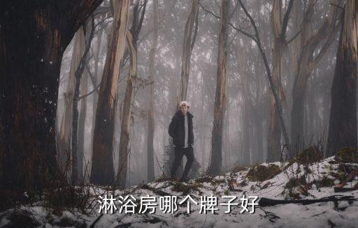 淋浴房哪個牌子好