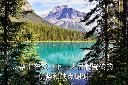 ...幫忙在說一下十大品牌瓷磚的 優(yōu)勢和缺點謝謝