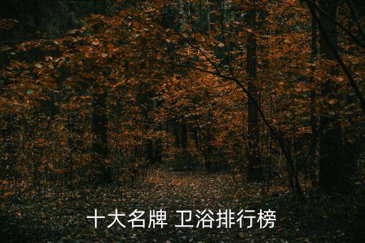 衛(wèi)浴.精高.品牌,悍高衛(wèi)浴是不是品牌