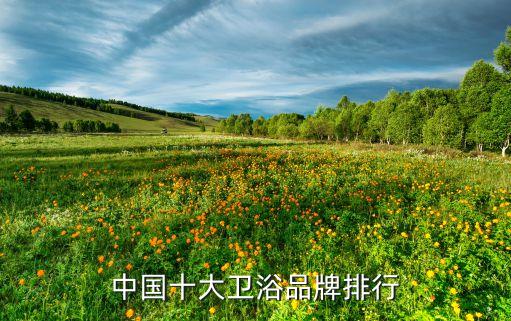 中國(guó)十大衛(wèi)浴品牌排行