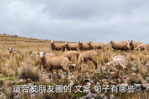 衛(wèi)浴靈感文案句子圖片,突然降溫的幽默句子文案圖片