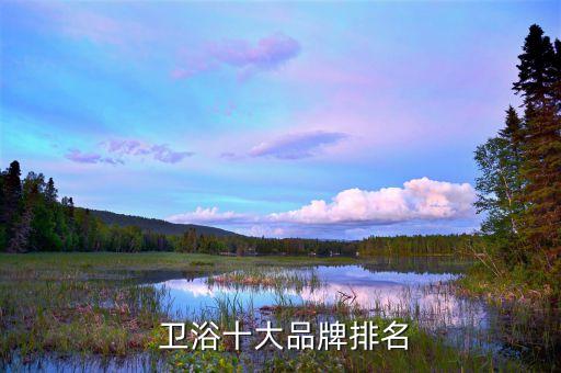 tcl衛(wèi)浴屬于幾線品牌,TCL屬于幾線品牌