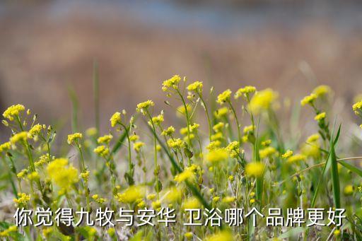 你覺得九牧與安華 衛(wèi)浴哪個(gè)品牌更好